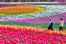 Image for Floriculture Market Challenges, Key Vendors, Drivers, Trends and Forecast to 2026 with ID of: 4013245