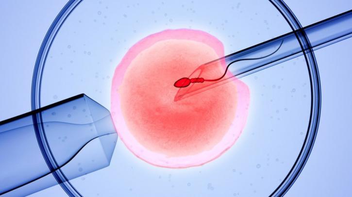 Image for Avoid the IVF Failure By Undergoing the Best and Highly Successful Treatment in India with ID of: 4017218