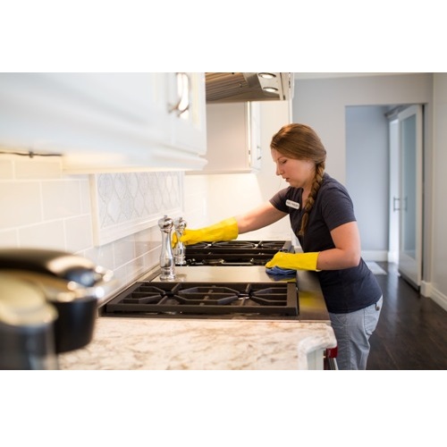 Image for Stellar Home Services LLC with ID of: 4018595