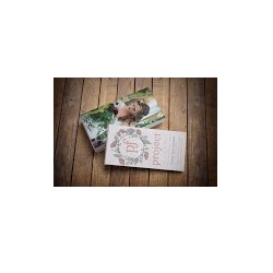Image for Monsoon Design with ID of: 4019141