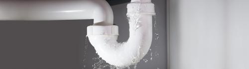 Image for A-List Plumbing with ID of: 4021027