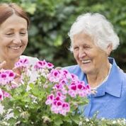 Image for Living Assistance Services - Newmarket with ID of: 4023737