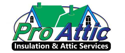 Image for Pro Attic with ID of: 4025371
