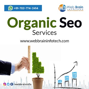 Image for Organic Seo Services with ID of: 4026341