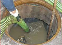 Image for Oregon Oils, Inc. with ID of: 4029779