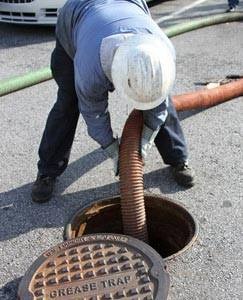 Image for Oregon Oils, Inc. with ID of: 4029782