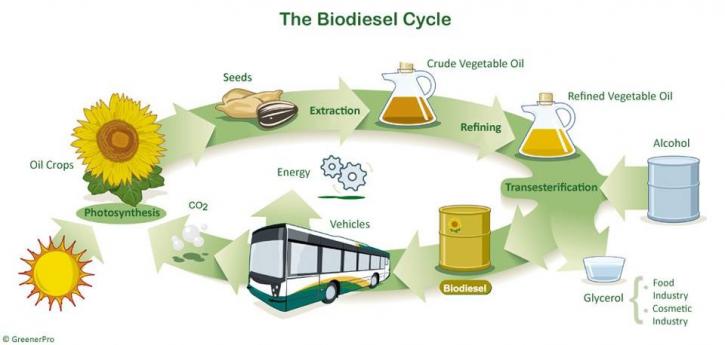 Image for Oregon Oils, Inc. with ID of: 4029784