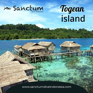 Image for Togean island with ID of: 4033490