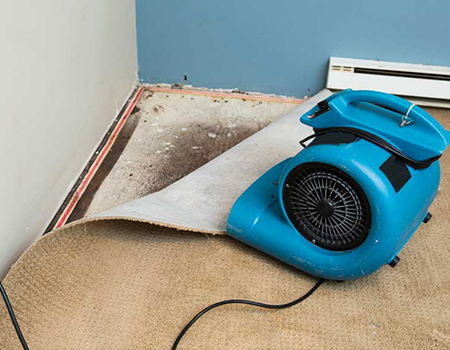 Image for Zebedee Group Inc. with ID of: 4035381