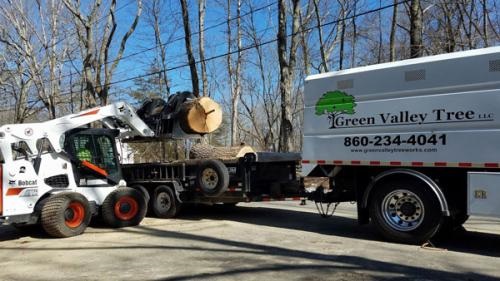 Image for Green Valley Tree LLC with ID of: 4035634
