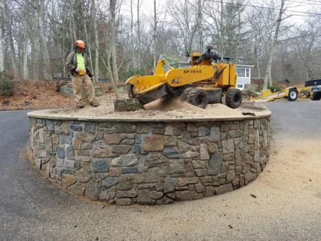 Image for Green Valley Tree LLC with ID of: 4035635