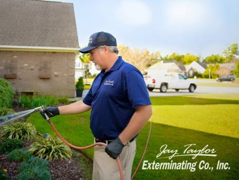 Image for Jay Taylor Exterminating Co. with ID of: 4035863