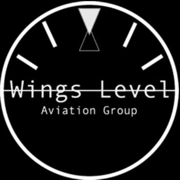 Image for Wings Level Aviation Group, LLC with ID of: 4042436