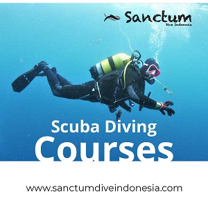 Image for Scuba Diving Courses with ID of: 4044684