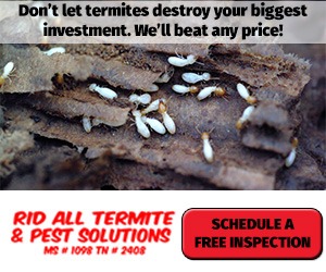 Image for Rid All Termite & Pest Solutions with ID of: 4046025