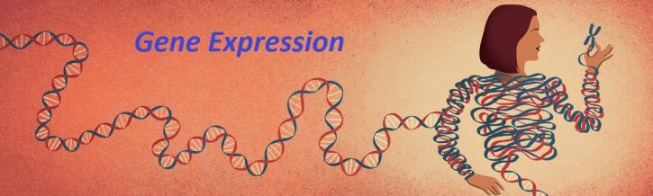 Image for Gene Expression Market Size Worth $11.3 Billion By 2025 with ID of: 4047686
