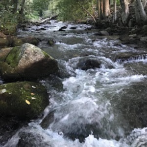Image for Route 19 Inn with ID of: 4047817