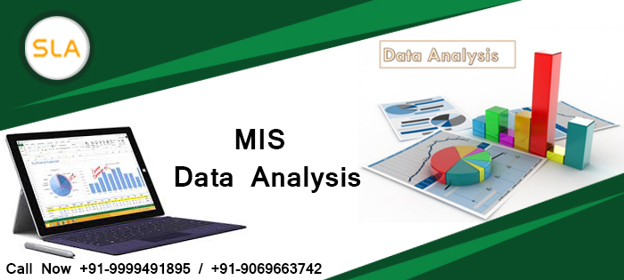 Image for Best MIS Training Course Provider Institute in Delhi- SLA Consultants India with ID of: 4053490