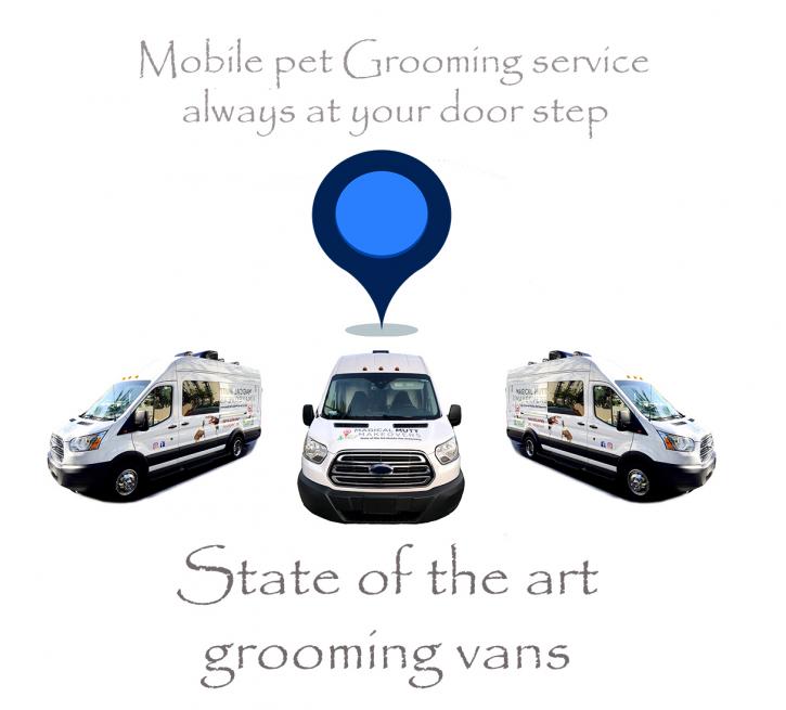 Image for Magical Mutt Makeovers LLC with ID of: 4059405