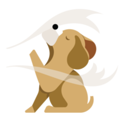 Image for Sage Mobile Grooming with ID of: 4059489