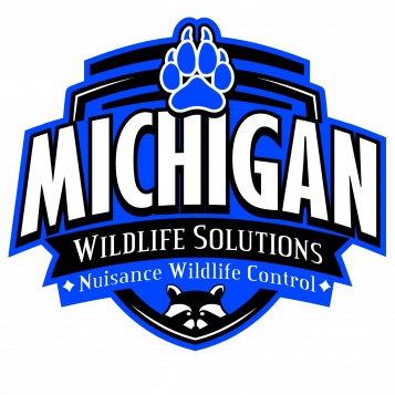 Image for Michigan Bat Control & Wildlife Solutions with ID of: 4060239