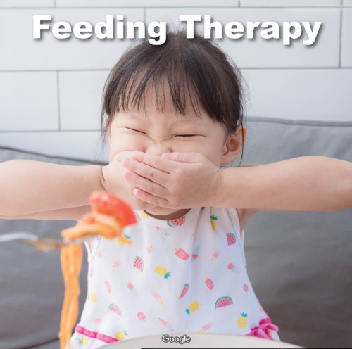 Image for MetroEHS Pediatric Therapy – Speech, Occupational & ABA Centers with ID of: 4061999