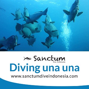Image for Diving Una Una with ID of: 4062338