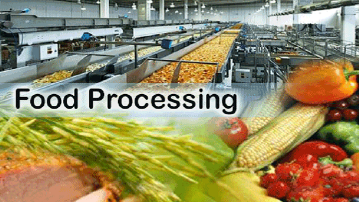 Image for Growth in Consumer Preference towards Branded Food Products Anticipated to Drive Food Processing Industry: Ken Research with ID of: 4063662