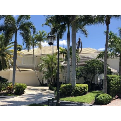 Image for Bluewater Pressure Cleaning LLC with ID of: 4064640
