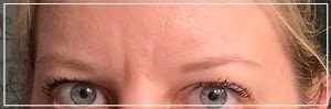 Image for Lakes Area Cosmetic Bar with ID of: 4065111