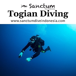 Image for Togian Diving with ID of: 4068487
