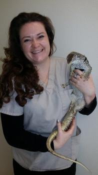 Image for Westside Pet Hospital with ID of: 4070613