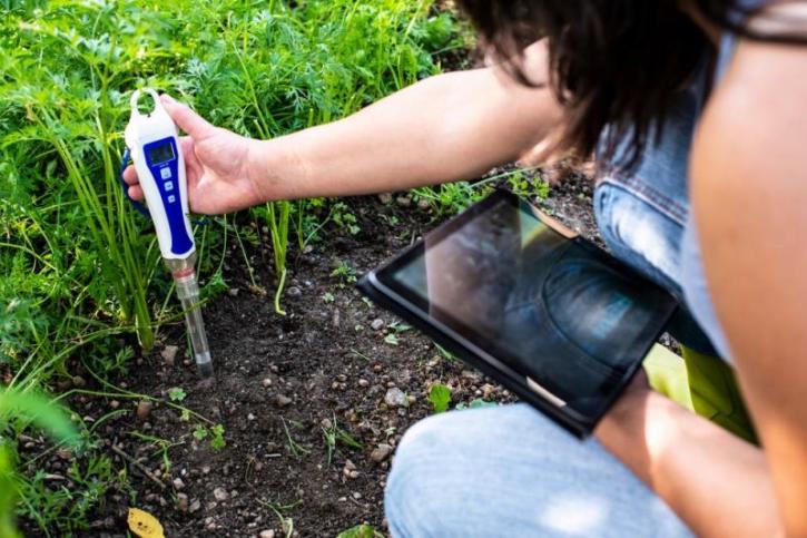 Image for Soil Moisture Sensor Market Size Worth $433.3 Million By 2025 with ID of: 4071527