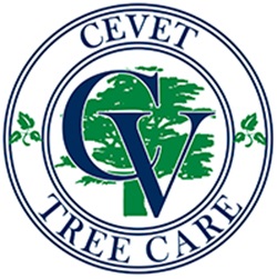 Image for Cevet Tree Care with ID of: 4077059