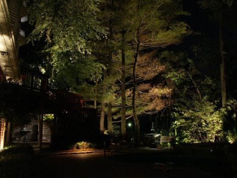 Image for Cevet Tree Care with ID of: 4077064