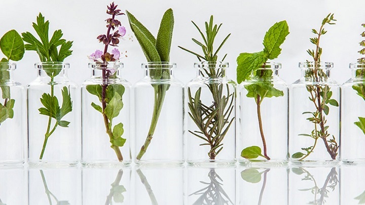 Image for Growth in the Requirement for Botanical Extracts Globally Market Outlook: Ken Research with ID of: 4082431