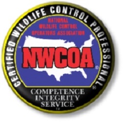 Image for Michigan Wildlife Solutions, LLC with ID of: 4083755