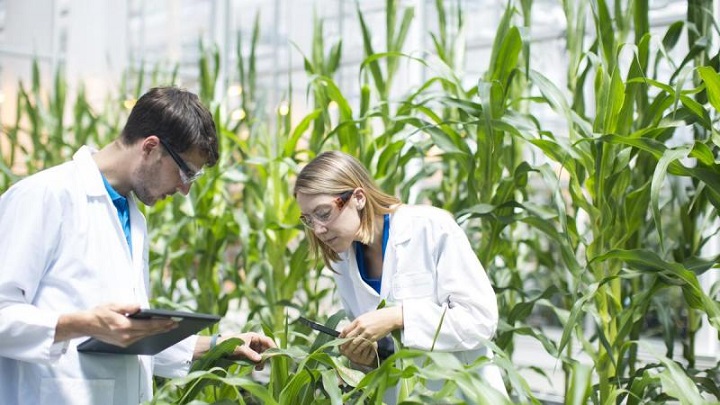 Image for Global Agricultural Biotechnology Market Research Report: Ken Research with ID of: 4084616