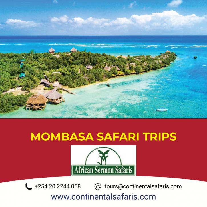 Image for Mombasa Safari Trips with ID of: 4086582