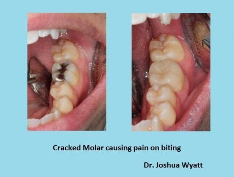 Image for Seminole Dentistry with ID of: 4088687
