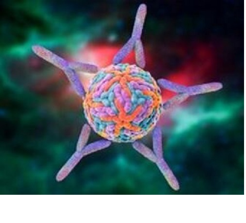 Image for hexon 2 with ID of: 4089015