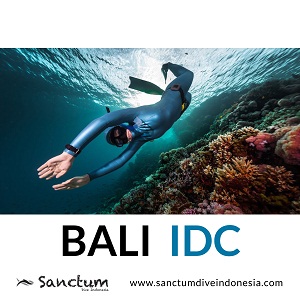 Image for Bali Idc with ID of: 4089309