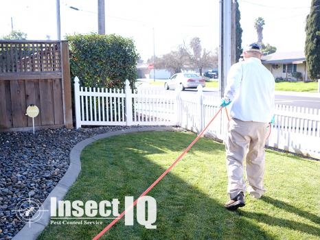 Image for Insect IQ, Inc. with ID of: 4096147
