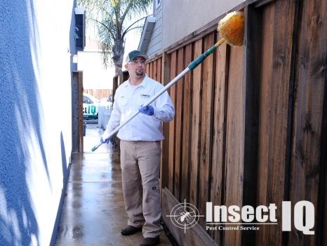 Image for Insect IQ, Inc. with ID of: 4096148