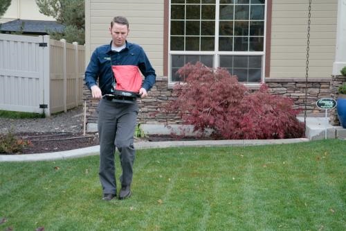 Image for Crazy Frog Pest Control with ID of: 4096481