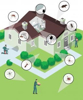Image for Crazy Frog Pest Control with ID of: 4096482