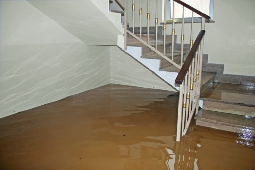 Image for AAA Public Adjusters with ID of: 4097375