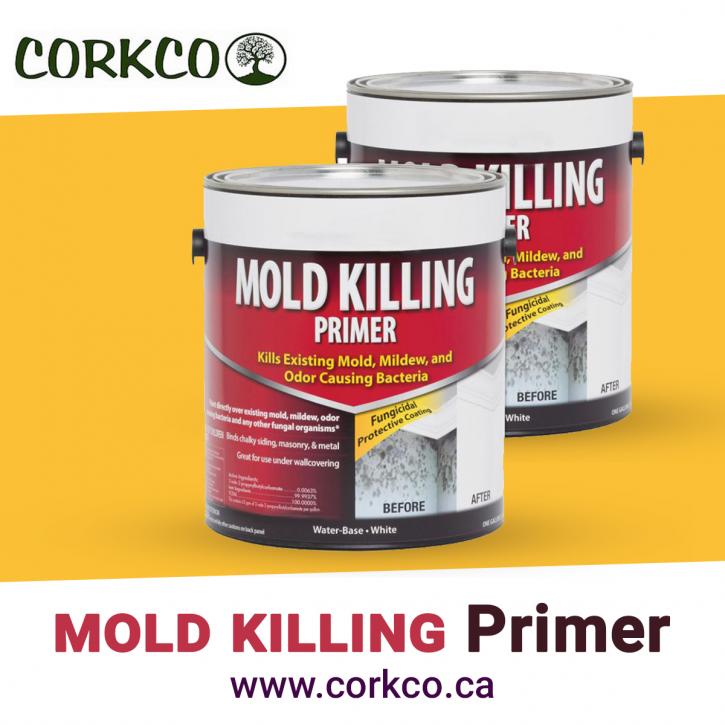 Image for Mold Killing Primer with ID of: 4101743