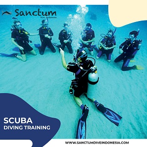Image for Scuba Diving Training with ID of: 4102159