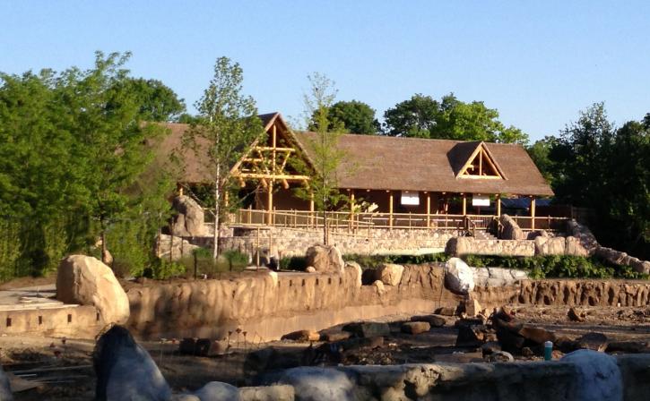 Image for Safari Thatch with ID of: 4102354